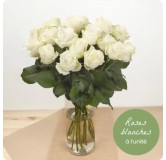 Bouquet de roses blanches à la tige