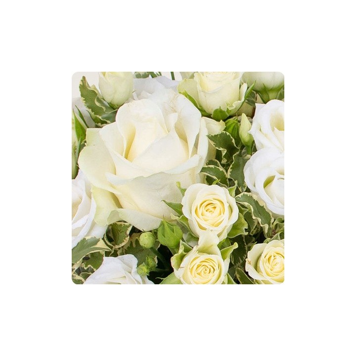 Composition de fleurs COLOMBE