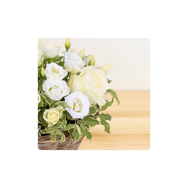Composition de fleurs COLOMBE