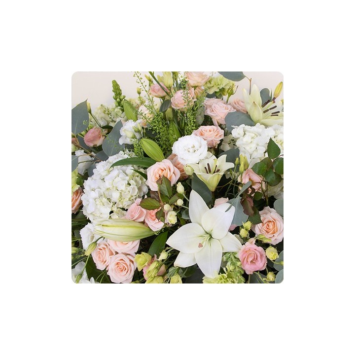 Dessus de Cerceuil DIANA