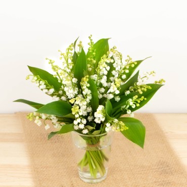 Bouquet de Muguet du 1er Mai