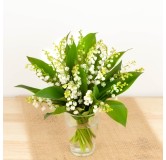 Bouquet de Muguet du 1er Mai