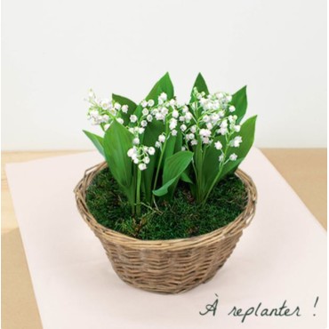 Muguet du 1er Mai Esprit des Bois