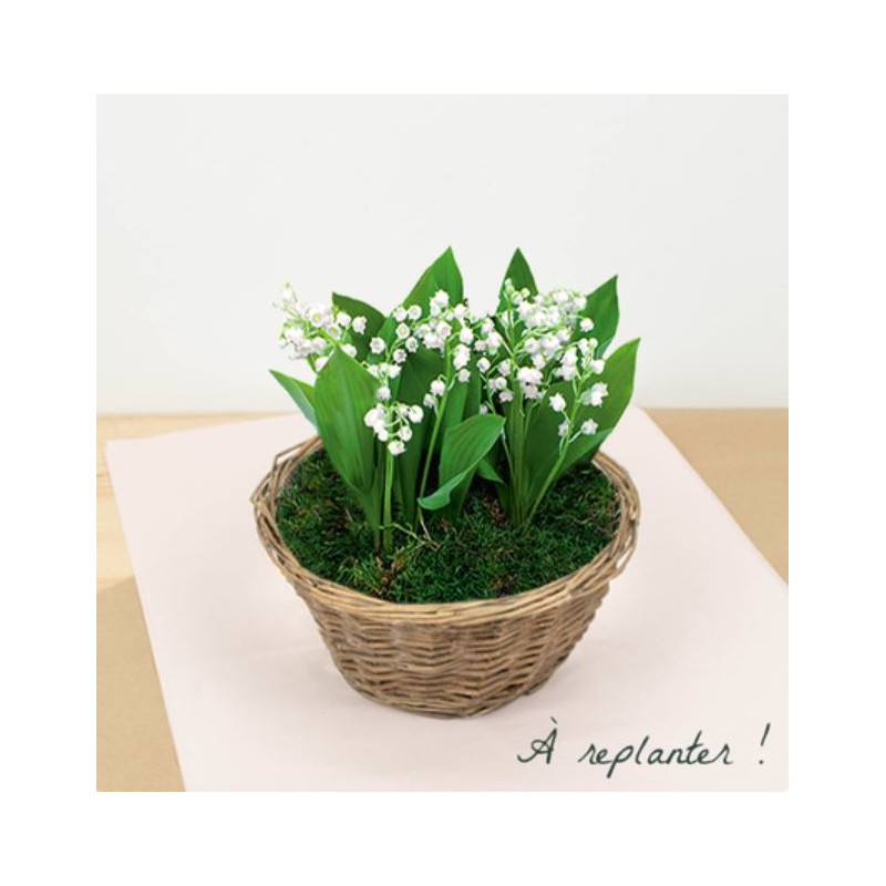 Muguet du 1er Mai Esprit des Bois