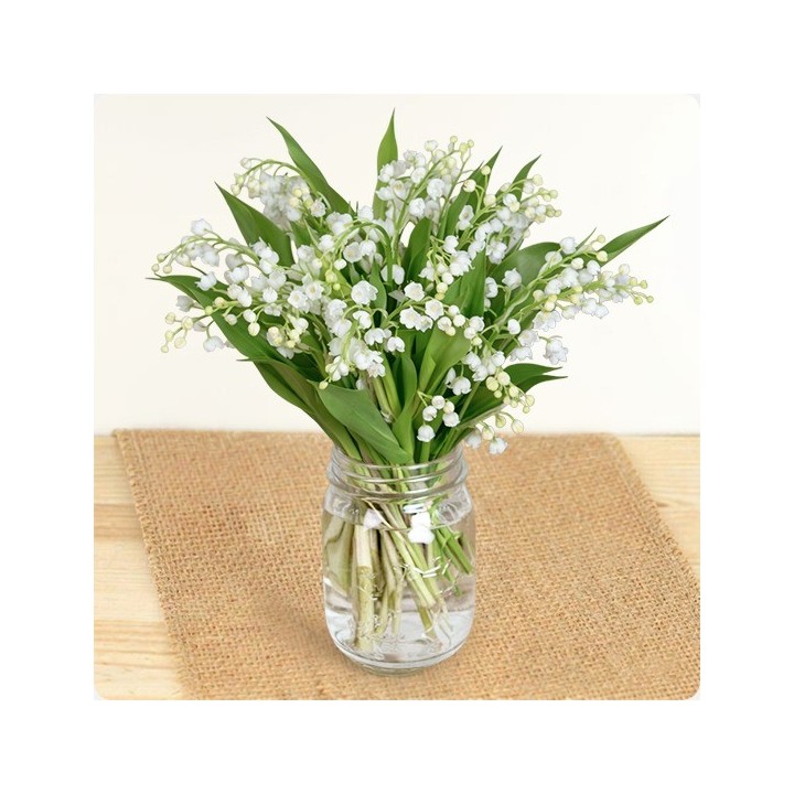 Bouquet de Muguet du 1er Mai