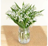 Bouquet de Muguet du 1er Mai
