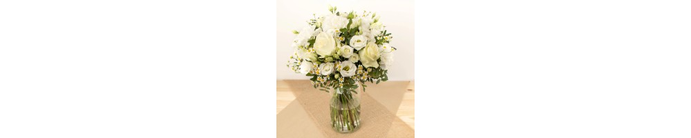 FLEURS BLANCHES