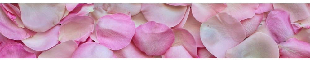 FLEURS GUYANE, ST BARTH, ST MARTIN, ST PIERRE ET MIQUELON