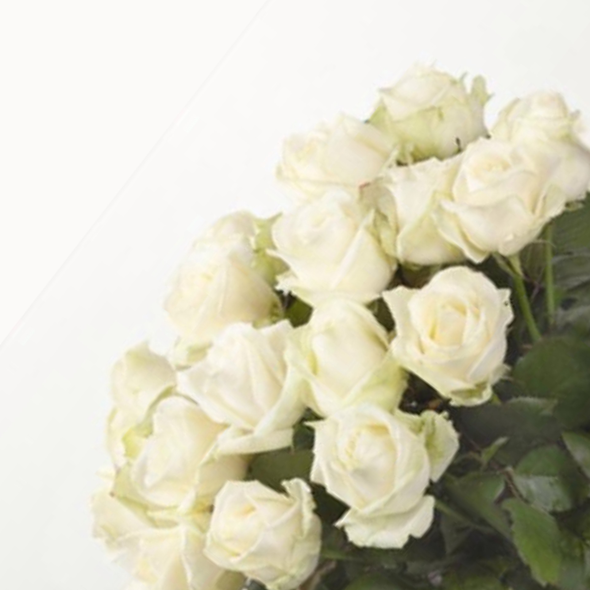 Bouquet de roses blanches à la tige