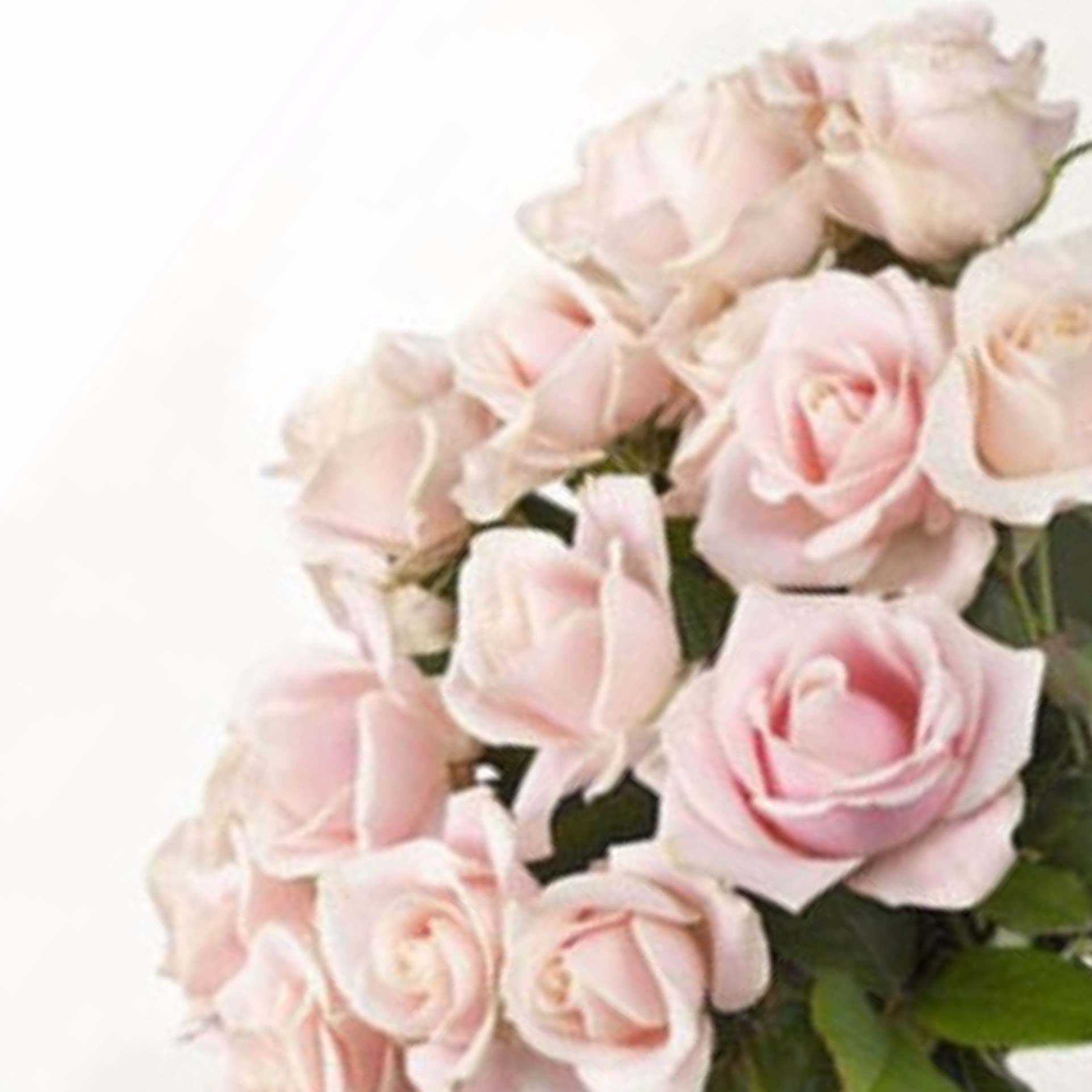 Bouquet de roses roses à la tige