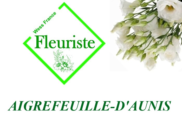 Fleuriste Aigrefeuille-d'Aunis Fleuriste Aigrefeuille-d'Aunis - livraison de fleurs Aigrefeuille-d'Aunis