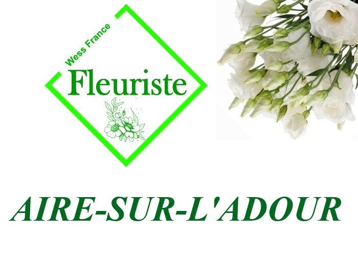 Fleuriste Aire-sur-l'Adour Fleuriste Aire-sur-l'Adour - livraison de fleurs Aire-sur-l'Adour