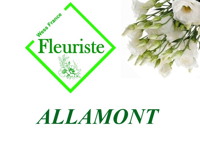 Fleuriste Allamont Fleuriste Allamont - livraison de fleurs Allamont