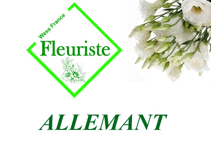 Fleuriste Allemant Fleuriste Allemant - livraison de fleurs Allemant