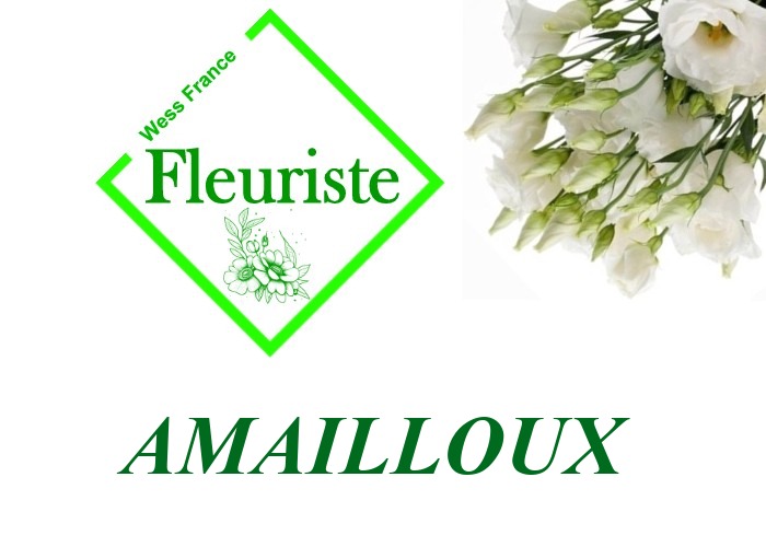 Fleuriste Amailloux Fleuriste Amailloux - livraison de fleurs Amailloux