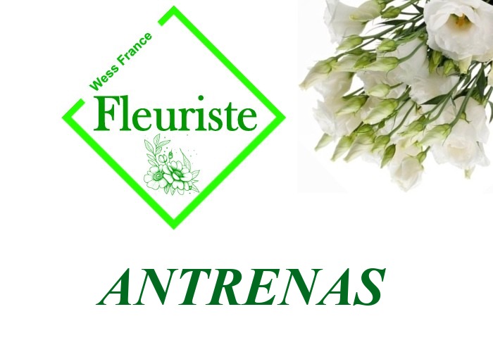 Fleuriste Antrenas Fleuriste Antrenas - livraison de fleurs Antrenas
