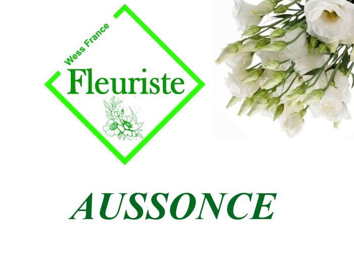 Fleuriste Aussonce - livraison de fleurs Aussonce