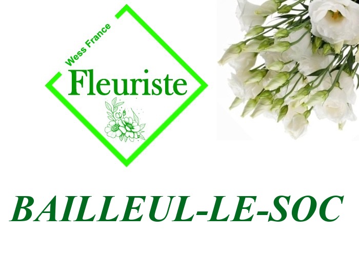 Fleuriste Bailleul-le-Soc - livraison de fleurs Bailleul-le-Soc