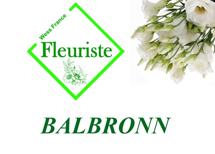 Fleuriste Balbronn Fleuriste Balbronn - livraison de fleurs Balbronn