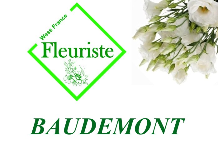 Fleuriste Baudemont - livraison de fleurs Baudemont