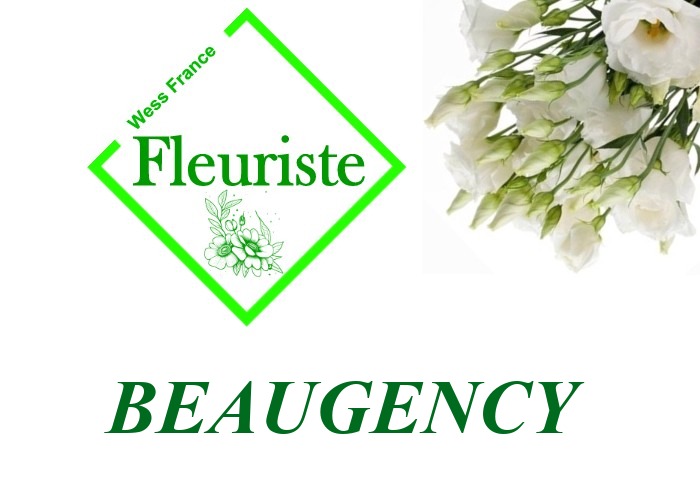 Fleuriste Beaugency - livraison de fleurs Beaugency