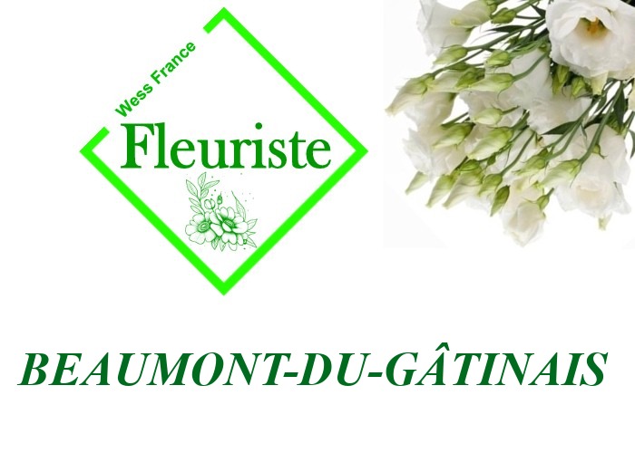Fleuriste Beaumont-du-Gâtinais - livraison de fleurs Beaumont-du-Gâtinais