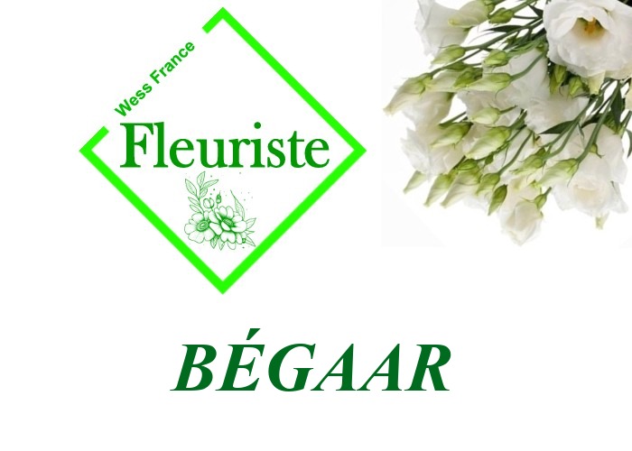 Fleuriste Bégaar Fleuriste Bégaar - livraison de fleurs Bégaar