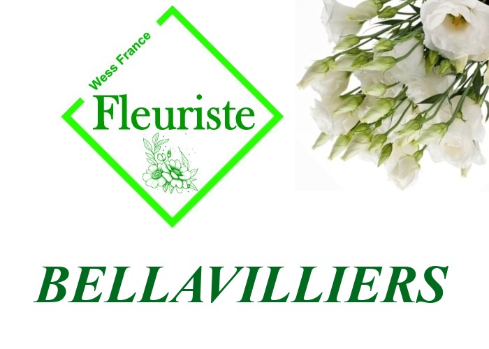 Fleuriste Bellavilliers Fleuriste Bellavilliers - livraison de fleurs Bellavilliers