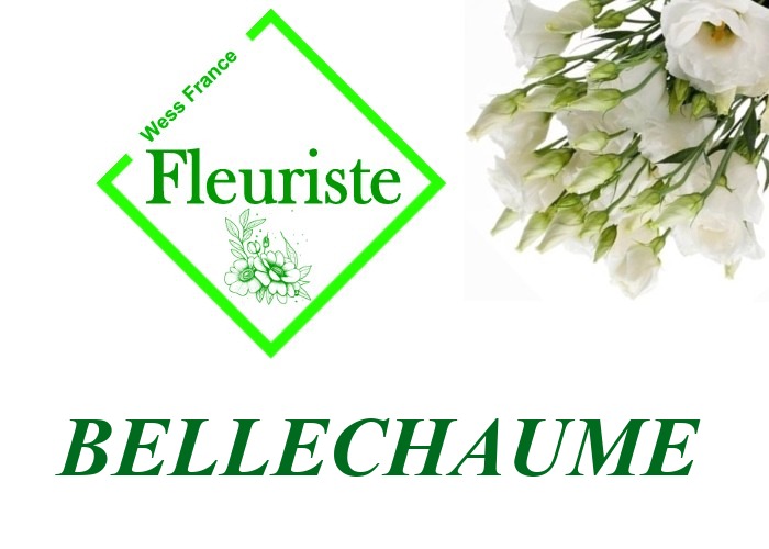 Fleuriste Bellechaume - livraison de fleurs Bellechaume
