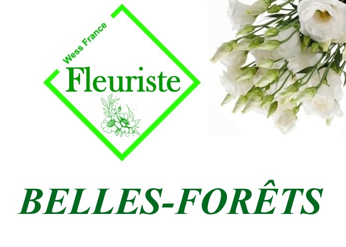 Fleuriste Belles-Forêts Fleuriste Belles-Forêts - livraison de fleurs Belles-Forêts