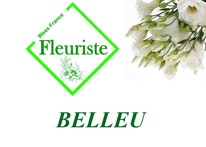 Fleuriste Belleu - livraison de fleurs Belleu