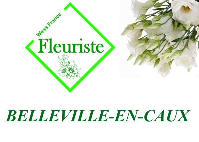 Fleuriste Belleville-en-Caux Fleuriste Belleville-en-Caux - livraison de fleurs Belleville-en-Caux