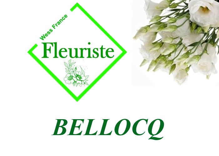 Fleuriste Bellocq - livraison de fleurs Bellocq