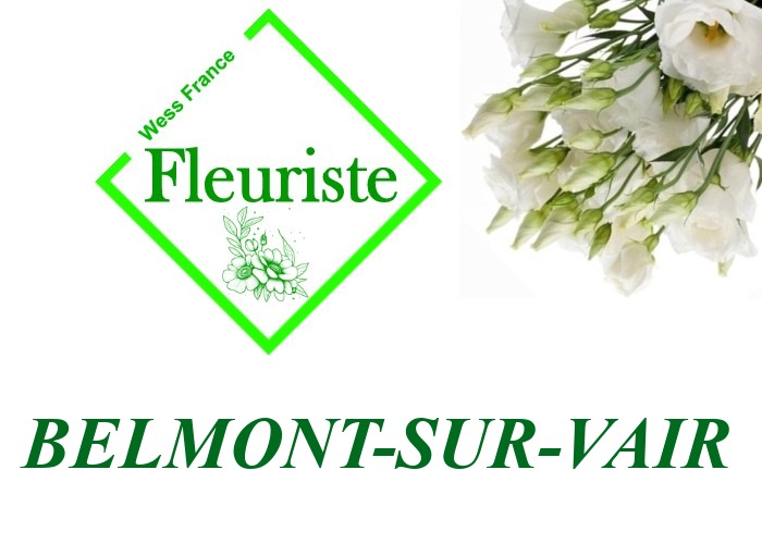 Fleuriste Belmont-sur-Vair Fleuriste Belmont-sur-Vair - livraison de fleurs Belmont-sur-Vair