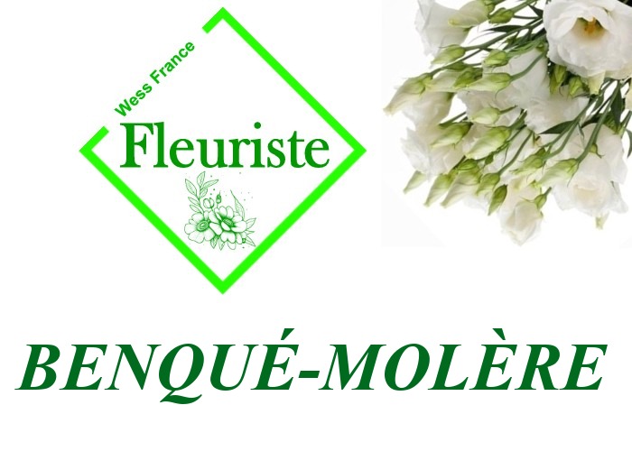 Fleuriste Benqué-Molère Fleuriste Benqué-Molère - livraison de fleurs Benqué-Molère
