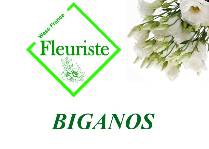 Fleuriste Biganos - livraison de fleurs Biganos