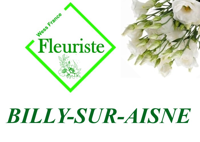 Fleuriste Billy-sur-Aisne Fleuriste Billy-sur-Aisne - livraison de fleurs Billy-sur-Aisne