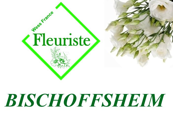 Fleuriste Bischoffsheim - livraison de fleurs Bischoffsheim