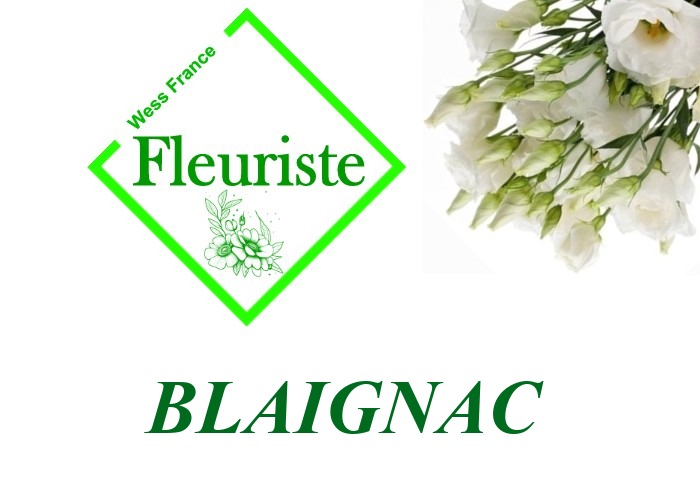 Fleuriste Blaignac - livraison de fleurs Blaignac