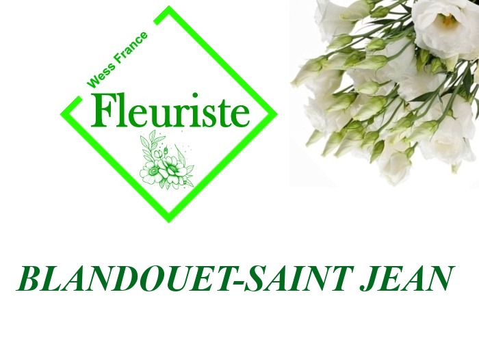 Fleuriste Blandouet-Saint Jean Fleuriste Blandouet-Saint Jean - livraison de fleurs Blandouet-Saint Jean