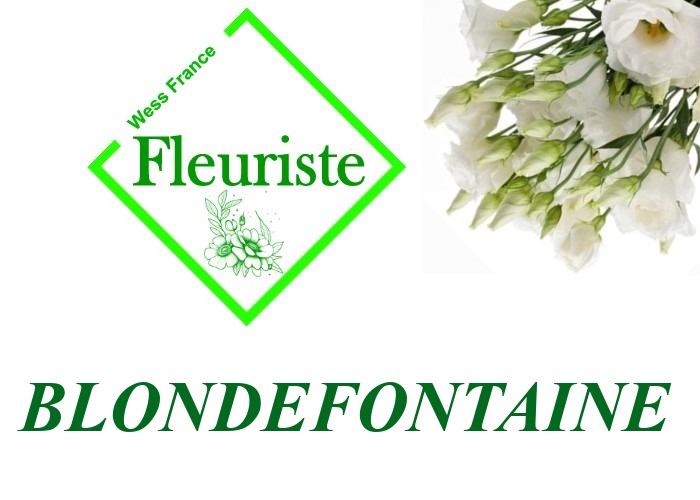 Fleuriste Blondefontaine Fleuriste Blondefontaine - livraison de fleurs Blondefontaine