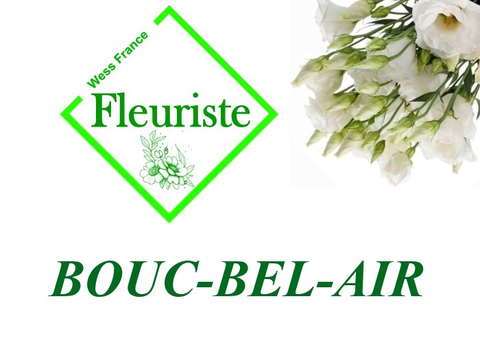 Fleuriste Bouc-Bel-Air - livraison de fleurs Bouc-Bel-Air