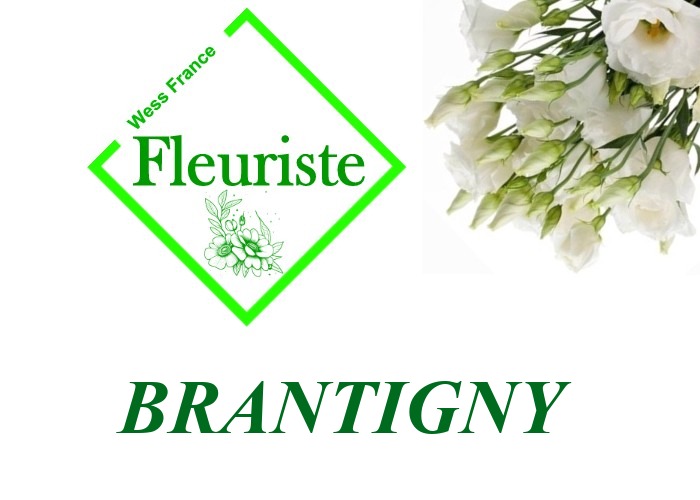 Fleuriste Brantigny Fleuriste Brantigny - livraison de fleurs Brantigny