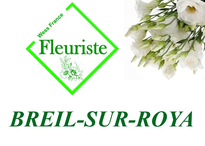Fleuriste Breil-sur-Roya Fleuriste Breil-sur-Roya - livraison de fleurs Breil-sur-Roya