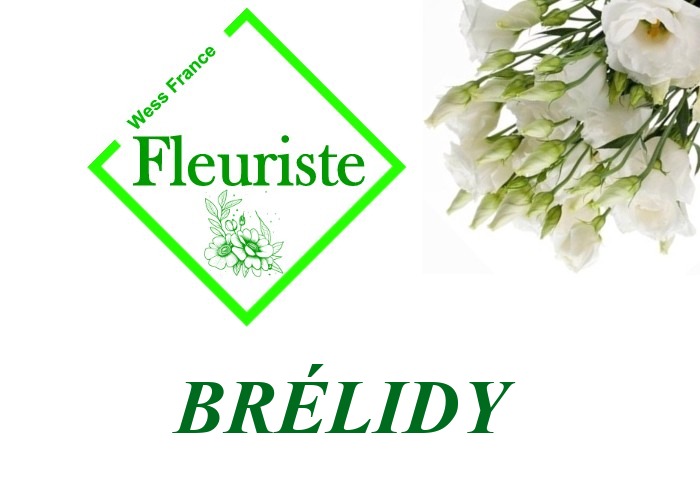 Fleuriste Brélidy - livraison de fleurs Brélidy