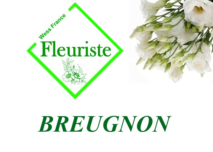 Fleuriste Breugnon Fleuriste Breugnon - livraison de fleurs Breugnon