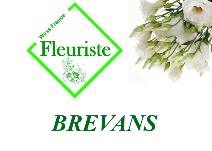 Fleuriste Brevans Fleuriste Brevans - livraison de fleurs Brevans