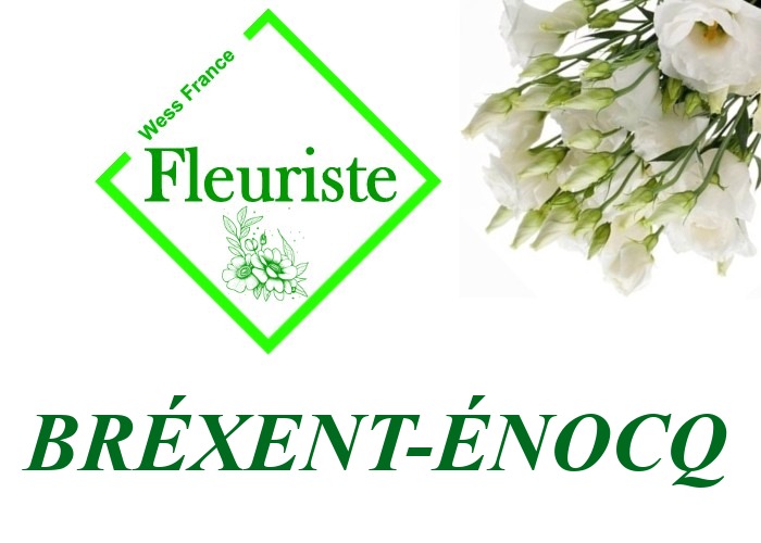 Fleuriste Bréxent-Énocq Fleuriste Bréxent-Énocq - livraison de fleurs Bréxent-Énocq