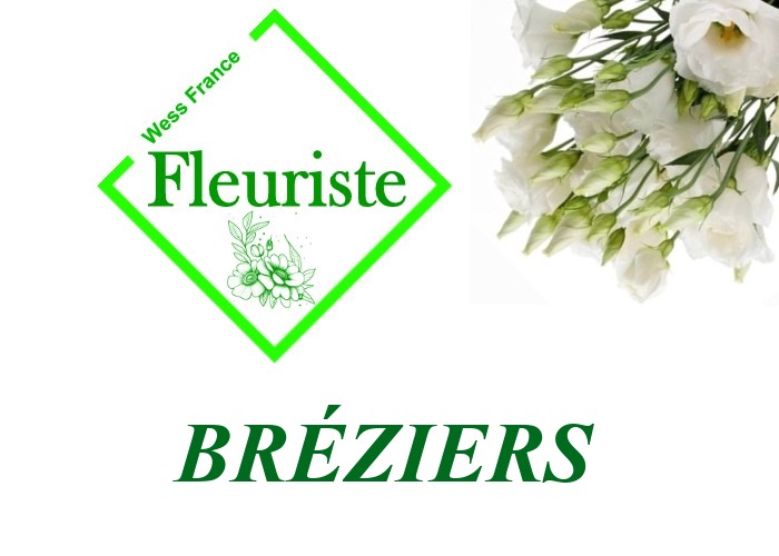 Fleuriste Bréziers Fleuriste Bréziers - livraison de fleurs Bréziers