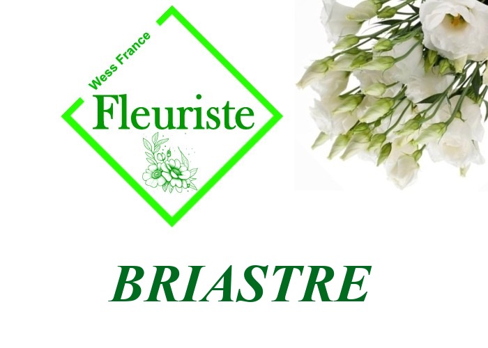 Fleuriste Briastre Fleuriste Briastre - livraison de fleurs Briastre